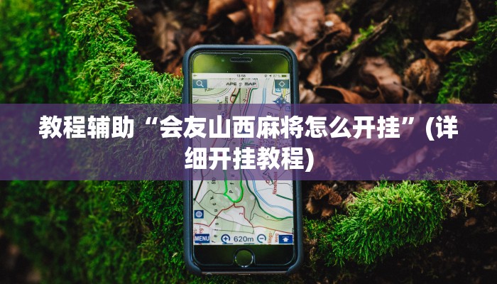 教程辅助“会友山西麻将怎么开挂”(详细开挂教程)