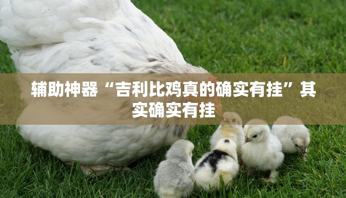 辅助神器“吉利比鸡真的确实有挂”其实确实有挂 辅助神器“吉利比鸡真的确实有挂”其实确实有挂