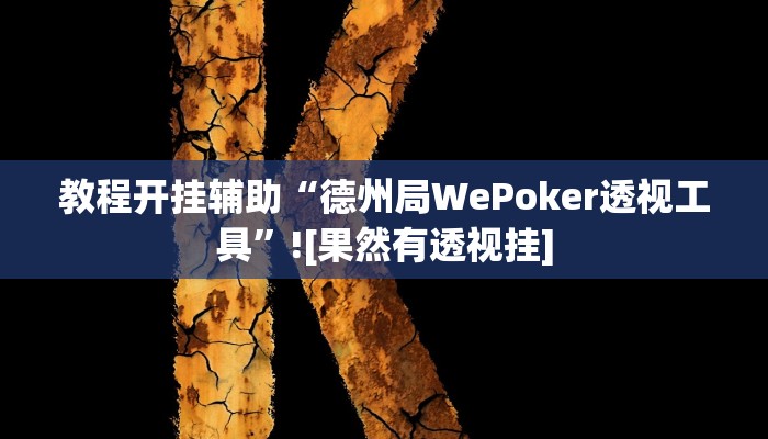 教程开挂辅助“德州局WePoker透视工具”![果然有透视挂]
