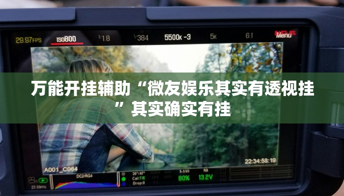 万能开挂辅助“微友娱乐其实有透视挂”其实确实有挂