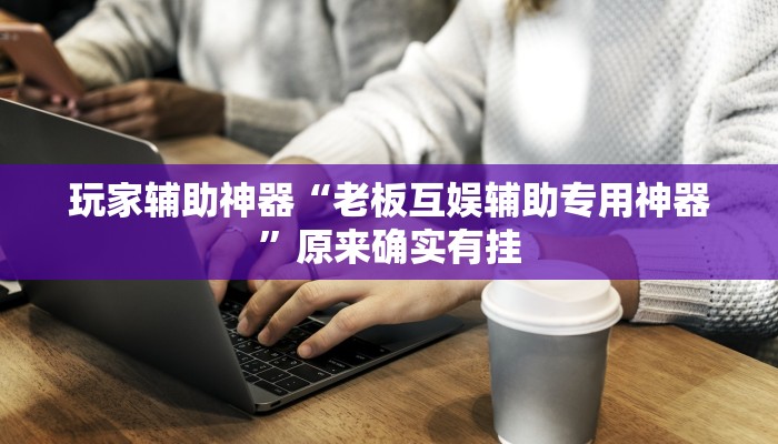 玩家辅助神器“老板互娱辅助专用神器”原来确实有挂