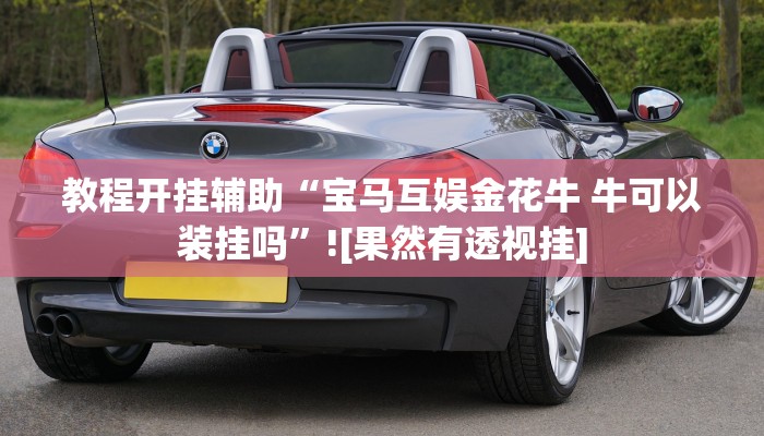 教程开挂辅助“宝马互娱金花牛 牛可以装挂吗”![果然有透视挂]