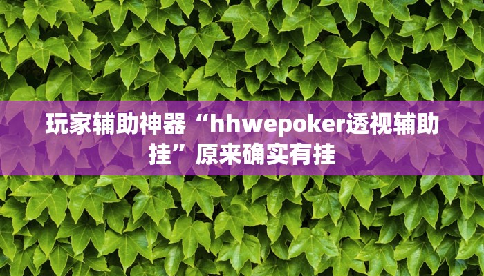 玩家辅助神器“hhwepoker透视辅助挂”原来确实有挂 玩家辅助神器“hhwepoker透视辅助挂”原来确实有挂