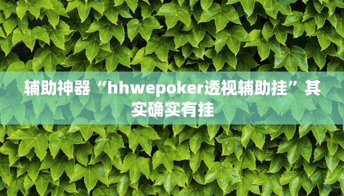 辅助神器“hhwepoker透视辅助挂”其实确实有挂 辅助神器“hhwepoker透视辅助挂”其实确实有挂
