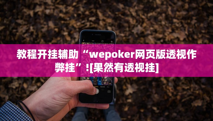 教程开挂辅助“wepoker网页版透视作弊挂”![果然有透视挂]