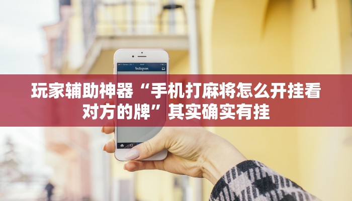 玩家辅助神器“手机打麻将怎么开挂看对方的牌”其实确实有挂