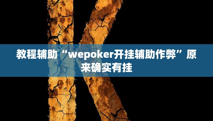 教程辅助“wepoker开挂辅助作弊”原来确实有挂