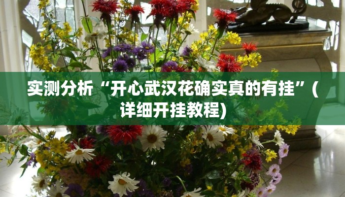 实测分析“开心武汉花确实真的有挂”(详细开挂教程)