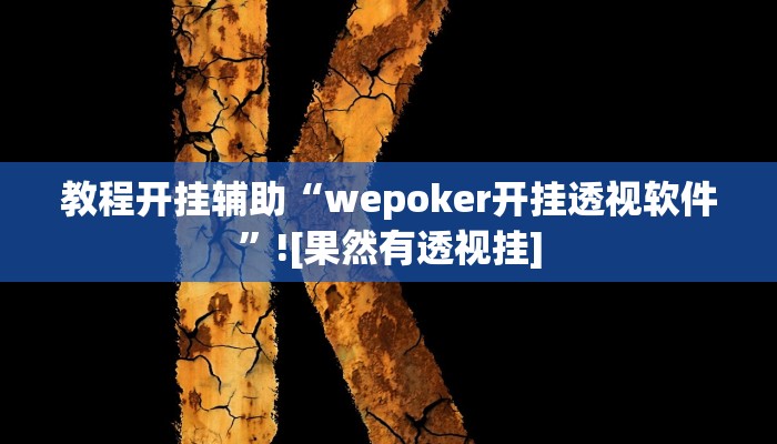 教程开挂辅助“wepoker开挂透视软件”![果然有透视挂]