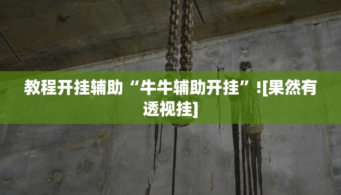 教程开挂辅助“牛牛辅助开挂”![果然有透视挂]