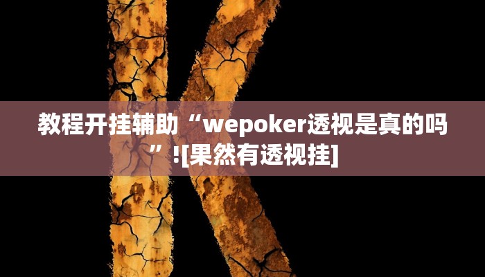 教程开挂辅助“wepoker透视是真的吗”![果然有透视挂]