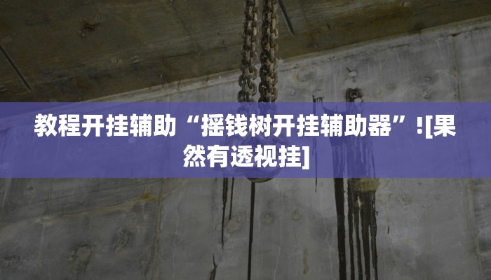 教程开挂辅助“摇钱树开挂辅助器”![果然有透视挂]