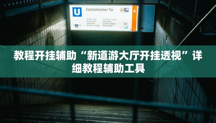 教程开挂辅助“新道游大厅开挂透视”详细教程辅助工具