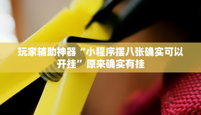 玩家辅助神器“小程序摆八张确实可以开挂”原来确实有挂