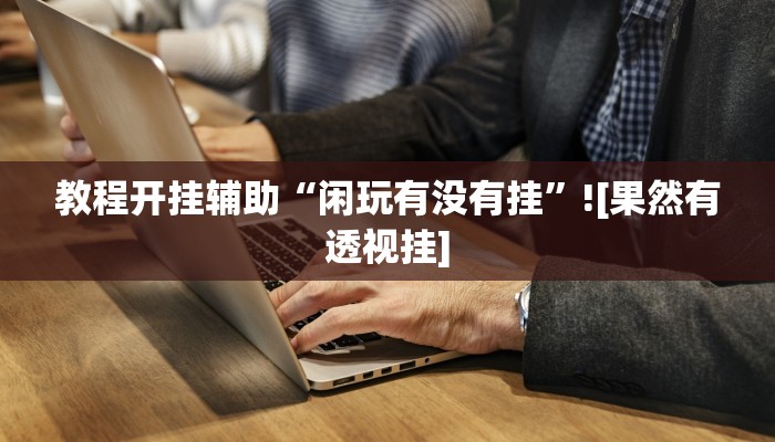 教程开挂辅助“闲玩有没有挂”![果然有透视挂]