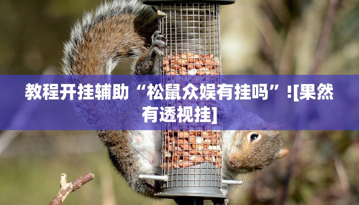 教程开挂辅助“松鼠众娱有挂吗”![果然有透视挂]