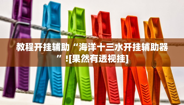 教程开挂辅助“海洋十三水开挂辅助器”![果然有透视挂]