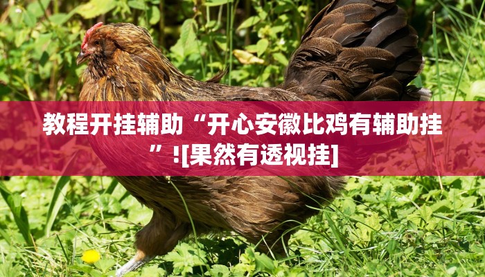 教程开挂辅助“开心安徽比鸡有辅助挂”![果然有透视挂]