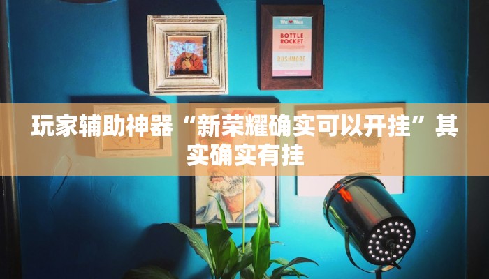 玩家辅助神器“新荣耀	确实可以开挂”其实确实有挂