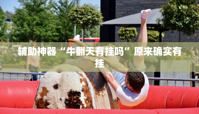 辅助神器“牛翻天有挂吗”原来确实有挂