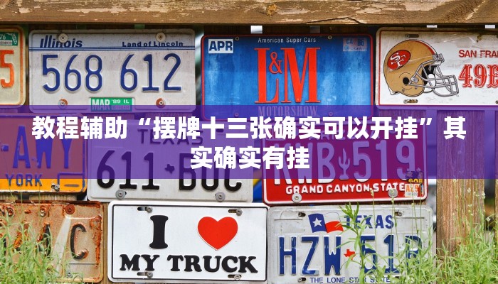 教程辅助“摆牌十三张确实可以开挂”其实确实有挂