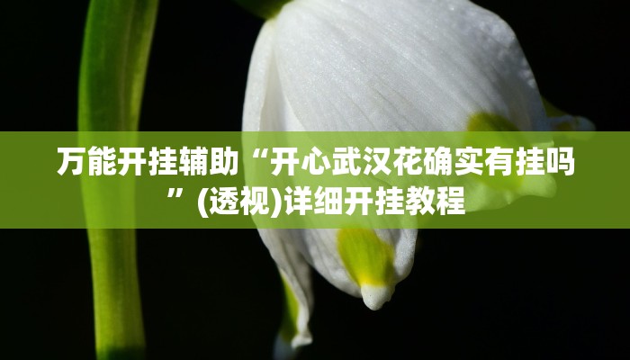万能开挂辅助“开心武汉花确实有挂吗”(透视)详细开挂教程 万能开挂辅助“开心武汉花确实有挂吗”(透视)详细开挂教程