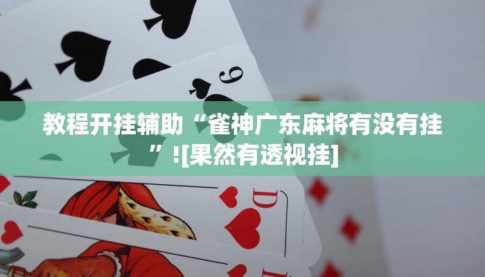 教程开挂辅助“新科乐棋牌原来可以开挂”![果然有透视挂]