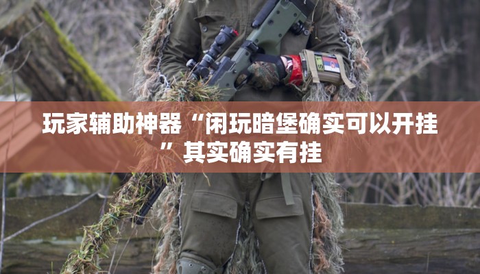 玩家辅助神器“闲玩暗堡确实可以开挂”其实确实有挂 玩家辅助神器“闲玩暗堡确实可以开挂”其实确实有挂