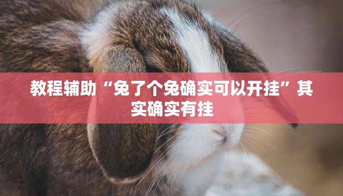 教程辅助“兔了个兔确实可以开挂”其实确实有挂