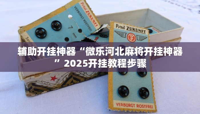 辅助开挂神器“微乐河北麻将开挂神器”2025开挂教程步骤