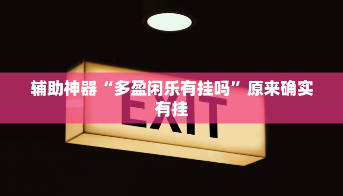 辅助神器“多盈闲乐有挂吗”原来确实有挂