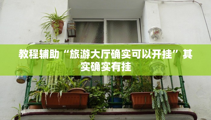 教程辅助“旅游大厅确实可以开挂”其实确实有挂