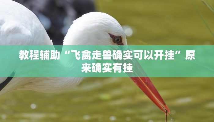 教程辅助“飞禽走兽确实可以开挂”原来确实有挂 教程辅助“飞禽走兽确实可以开挂”原来确实有挂