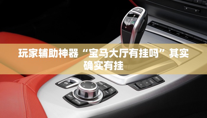 玩家辅助神器“宝马大厅有挂吗”其实确实有挂