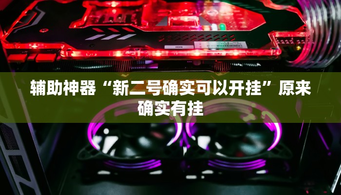 辅助神器“新二号确实可以开挂”原来确实有挂 辅助神器“新二号确实可以开挂”原来确实有挂