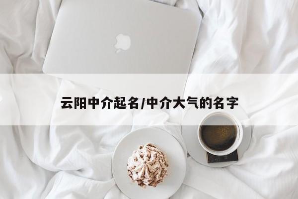 云阳中介起名/中介大气的名字