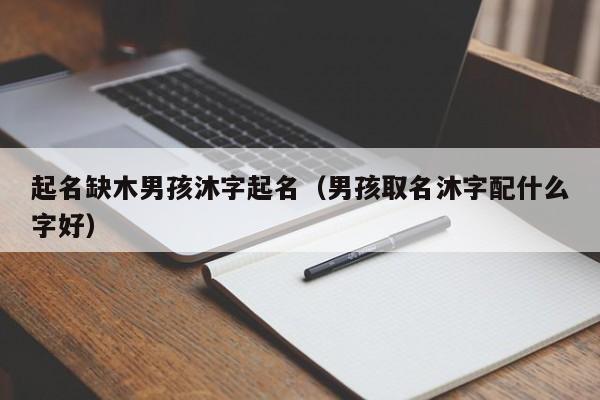 起名缺木男孩沐字起名(男孩取名沐字配什么字好)