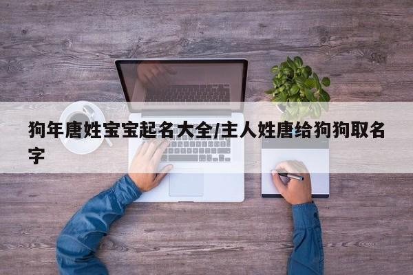 狗年唐姓宝宝起名大全/主人姓唐给狗狗取名字